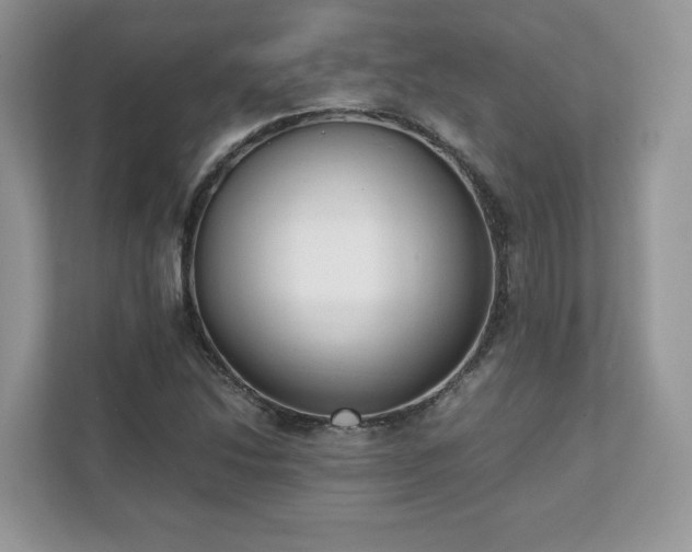X0000111881214200907301130