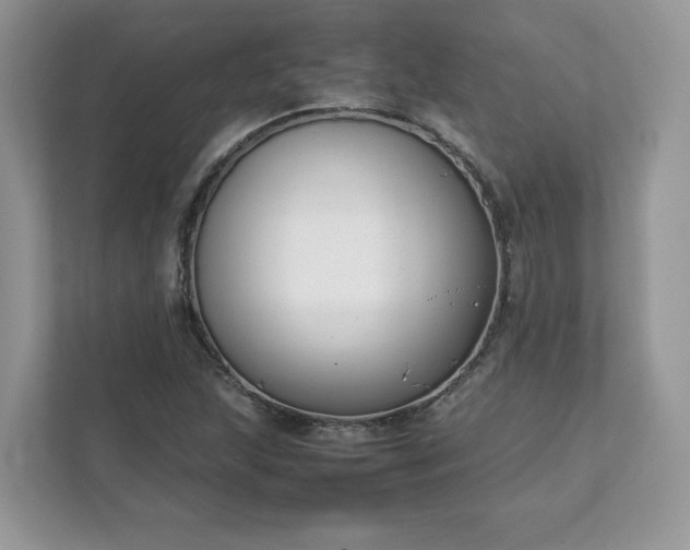 X0000111881215200907301130
