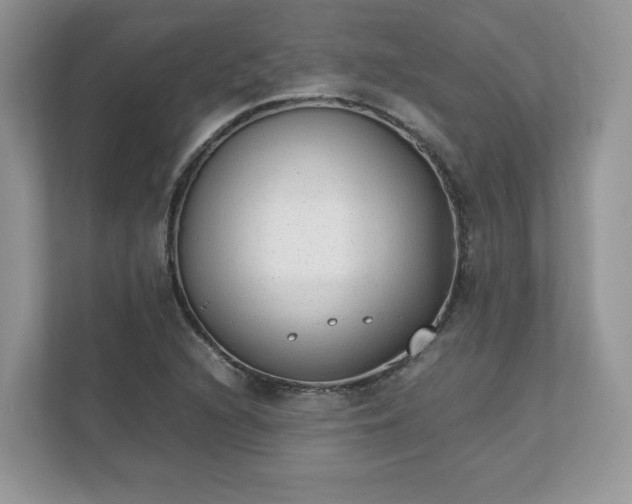 X0000111881216200907301130