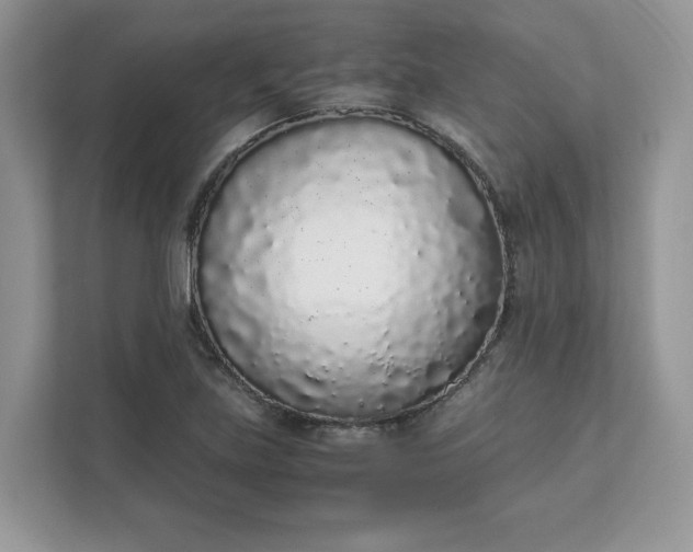 X0000111881219200907301130