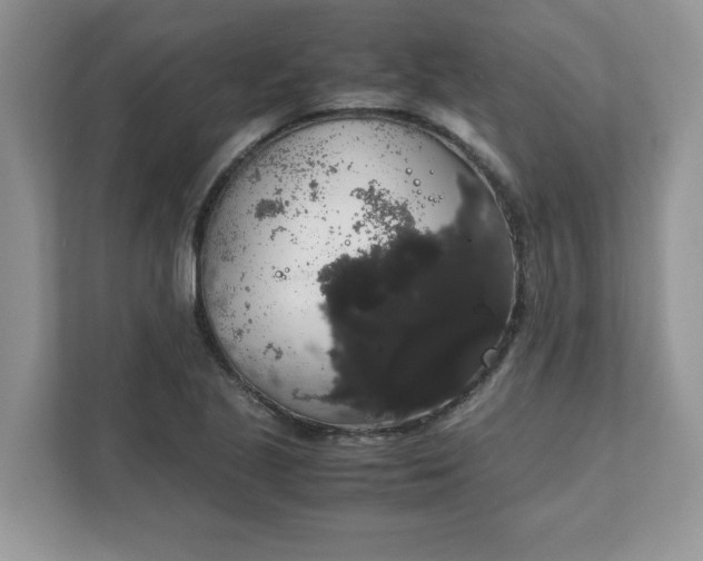 X0000111881221200907301130