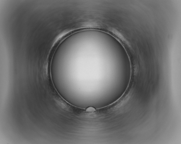 X0000111881222200907301130