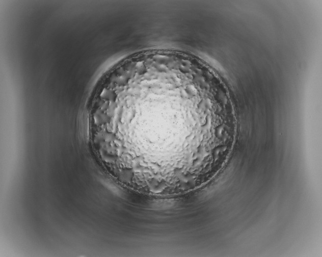 X0000111881223200907301130