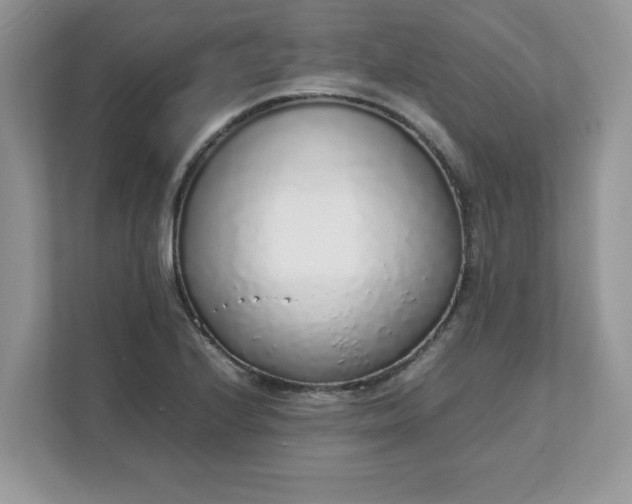 X0000111881224200907301130