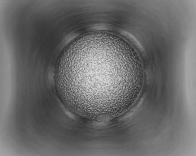 X0000111881225200907301130
