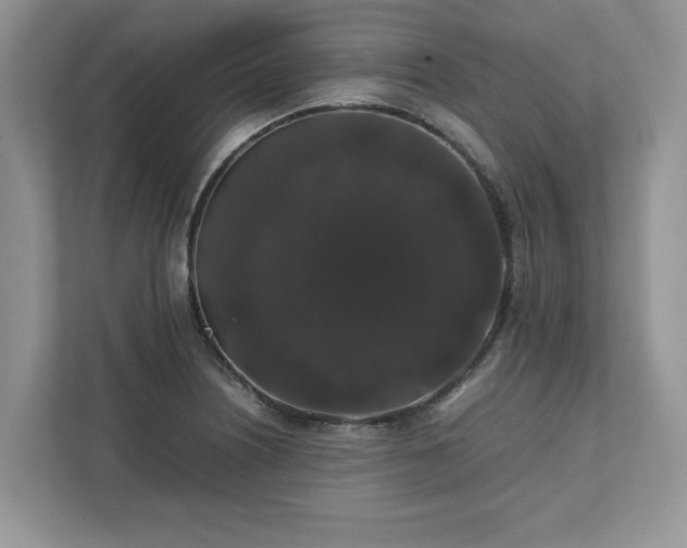 X0000111881226200907301130
