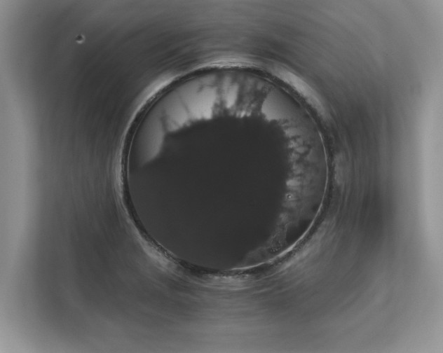 X0000111881229200907301130