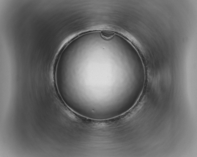 X0000111881230200907301130