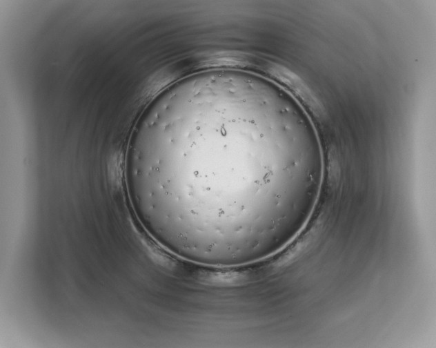 X0000111881233200907301130