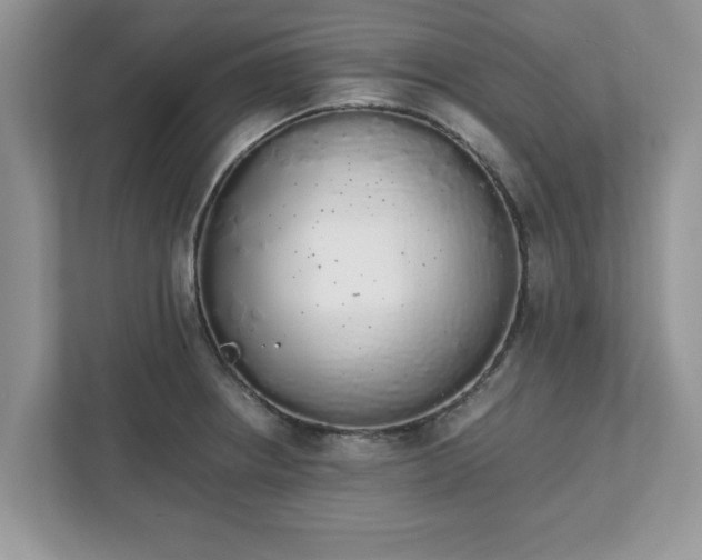 X0000111881234200907301130