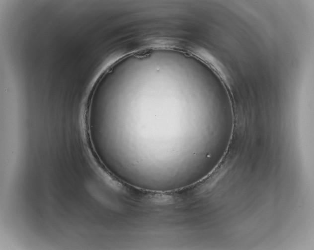 X0000111881235200907301130