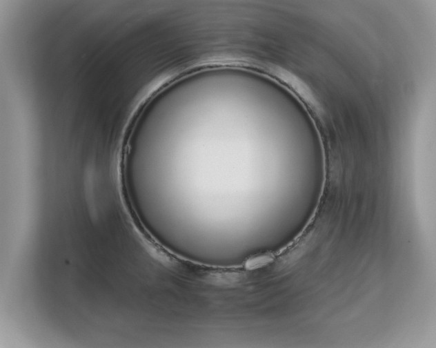 X0000111881237200907301130