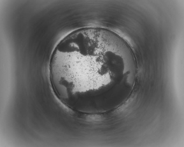 X0000111881239200907301130