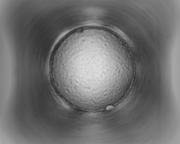 X0000111881240200907301130