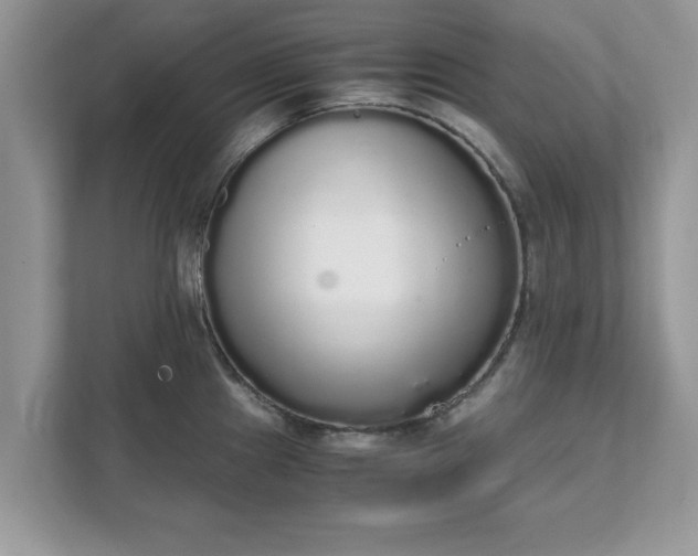 X0000111881241200907301130
