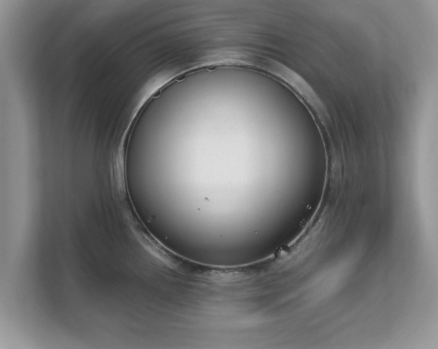 X0000111881242200907301130