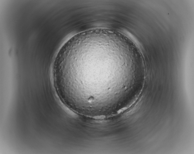 X0000111881243200907301130