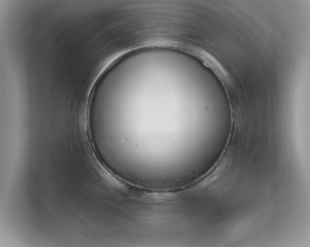 X0000111881244200907301130