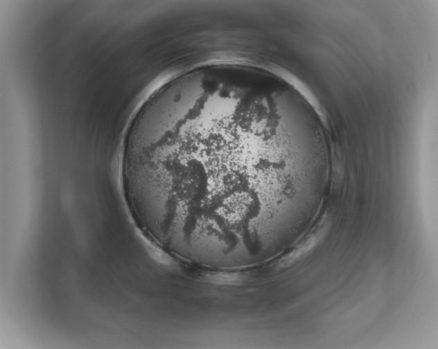 X0000111881245200907301130