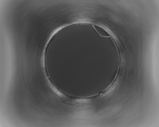 X0000111881246200907301130