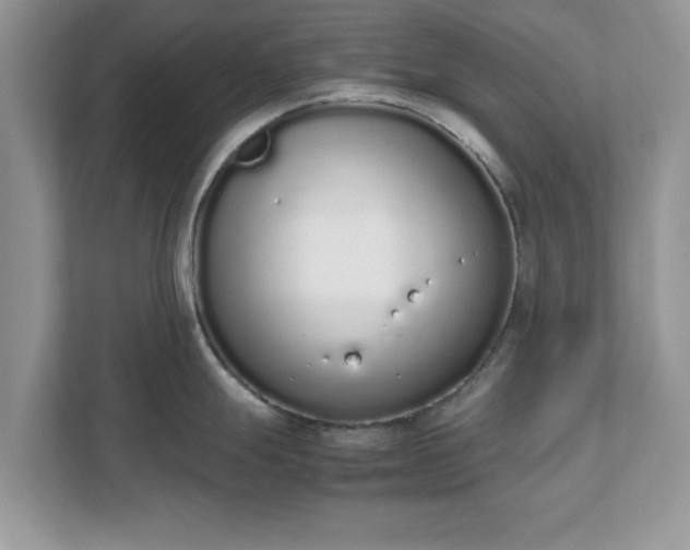 X0000111881247200907301130