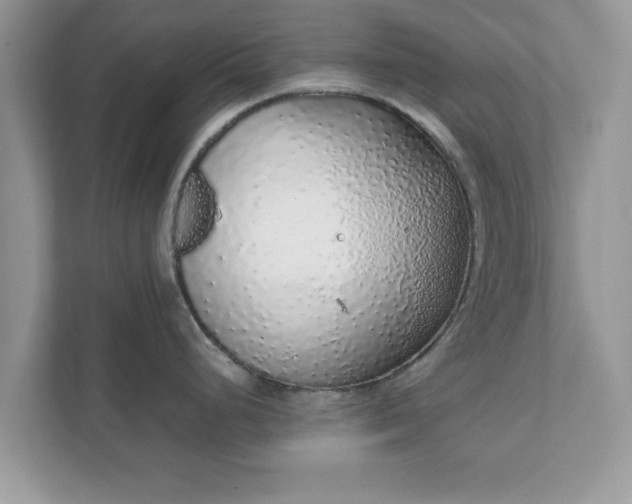 X0000111881248200907301131