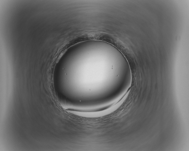 X0000111881249200907301130