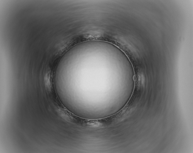 X0000111881250200907301130