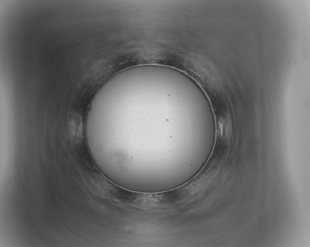 X0000111881251200907301130