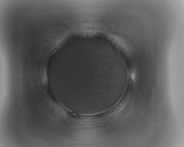 X0000111881252200907301130