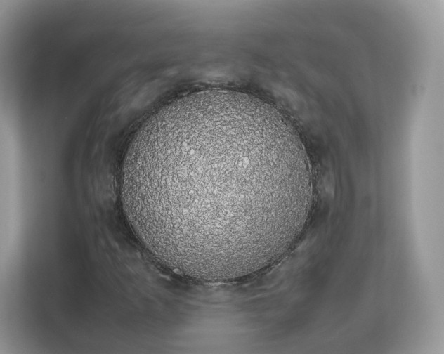 X0000111881253200907301130