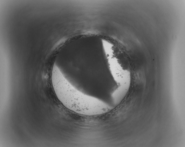 X0000111881254200907301130