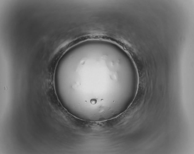 X0000111881255200907301130