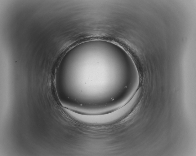 X0000111881257200907301130