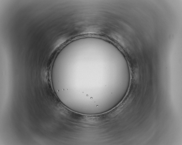 X0000111881258200907301130