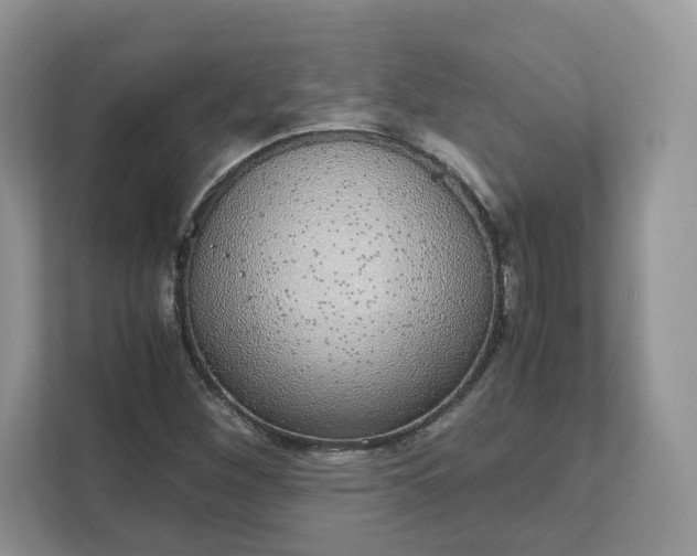 X0000111881260200907301130