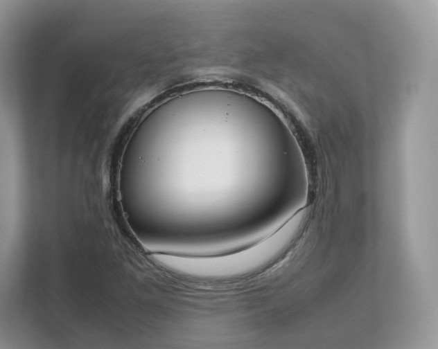 X0000111881261200907301130