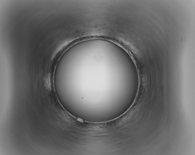X0000111881262200907301130