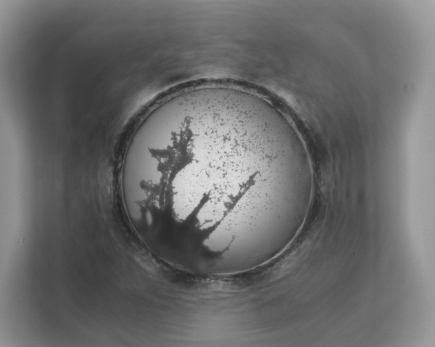 X0000111881263200907301130