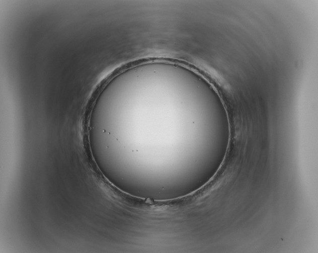 X0000111881264200907301130