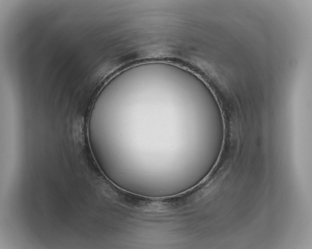X0000111881265200907301130
