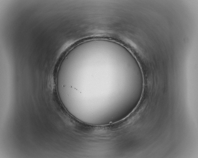 X0000111881267200907301130