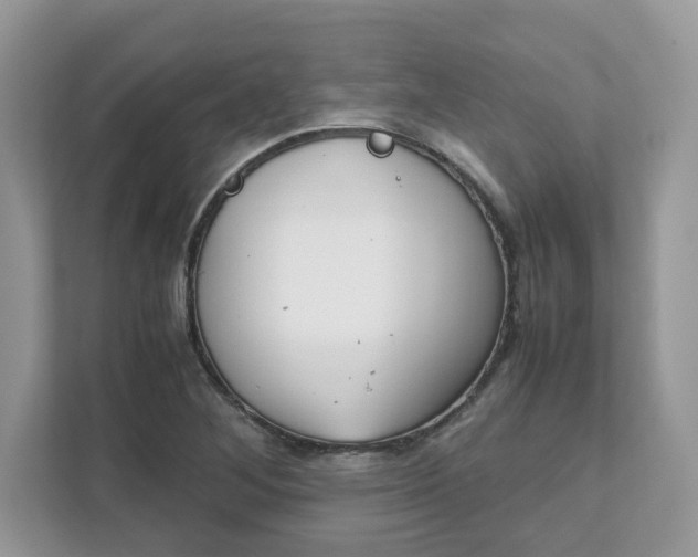 X0000111881268200907301130