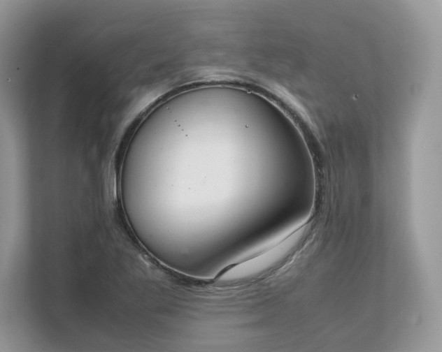 X0000111881269200907301130