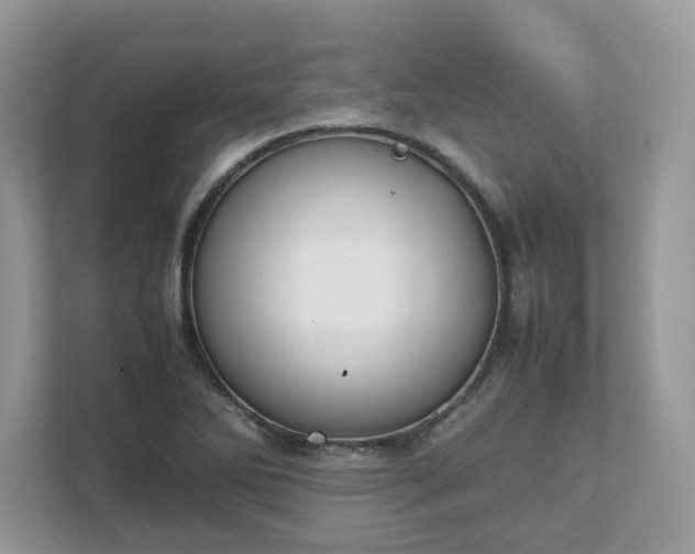 X0000111881270200907301130