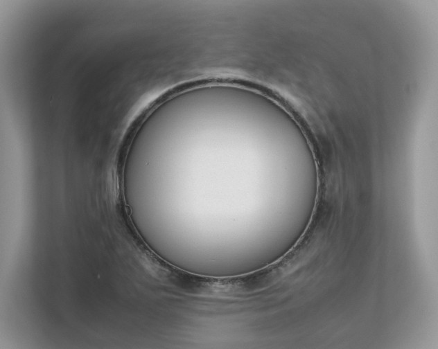 X0000111881271200907301130