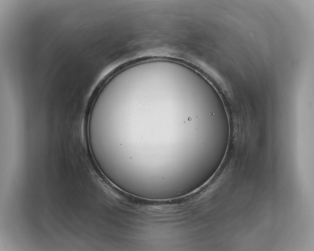 X0000111881272200907301130