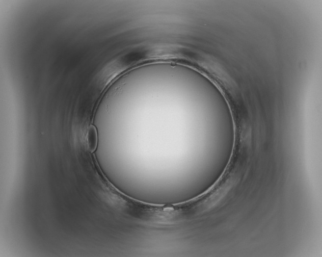 X0000111881273200907301130