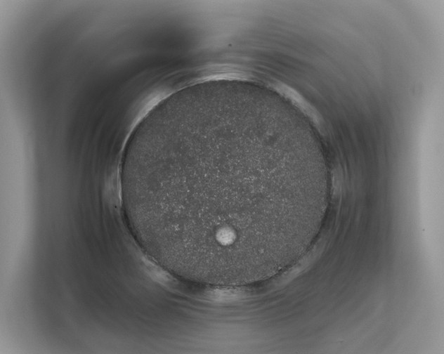 X0000111881274200907301129