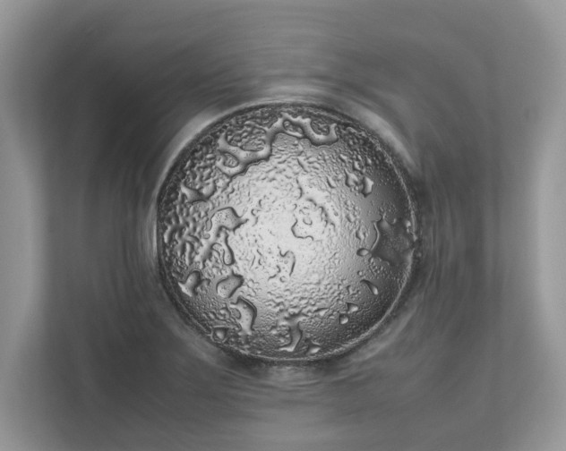 X0000111881275200907301129
